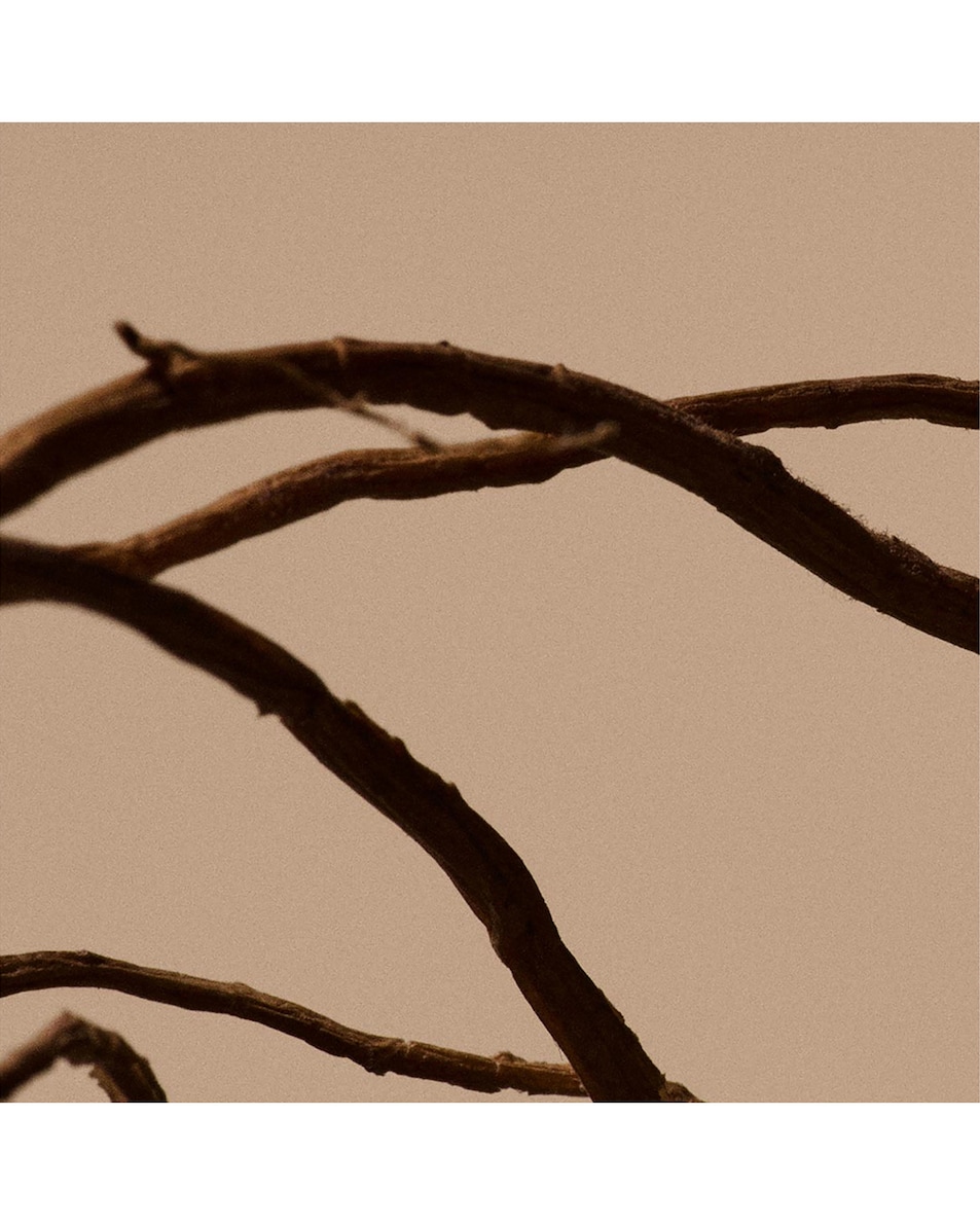 AESOP 솔레이스 리플레니싱 핸드 세럼